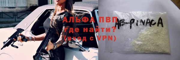 крисы Алексин