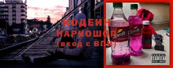 прущие грибы Алзамай