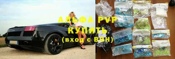 прущие грибы Алзамай