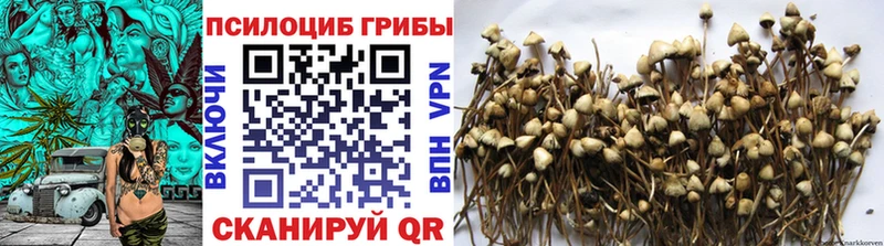 Псилоцибиновые грибы GOLDEN TEACHER  Дыгулыбгей 